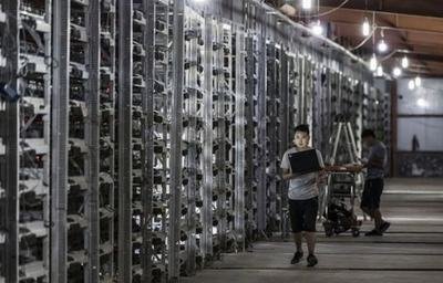 A well-organized mining farm with rows of ASIC miners and efficient cooling systems